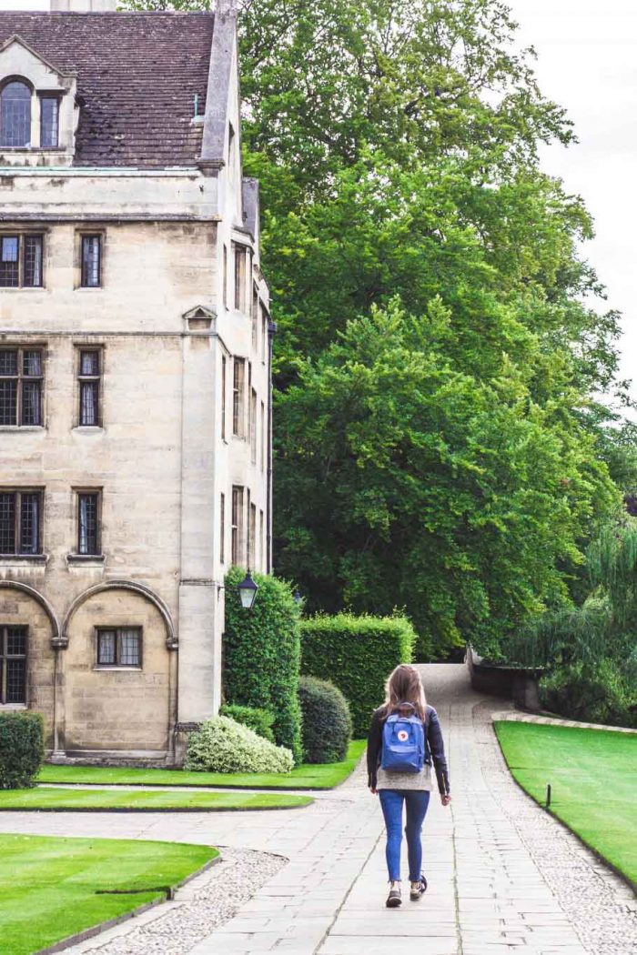 Design, execution, and scale-up of a high-impact education alliance